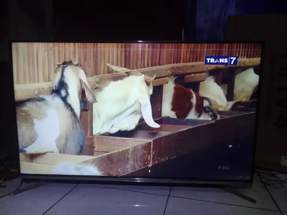 Tv Led Smart android Panasonic Th43FX400G