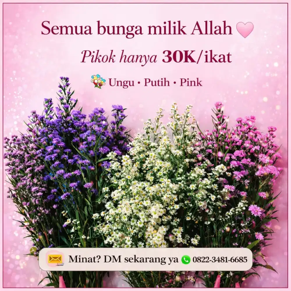 Bunga pikok premium