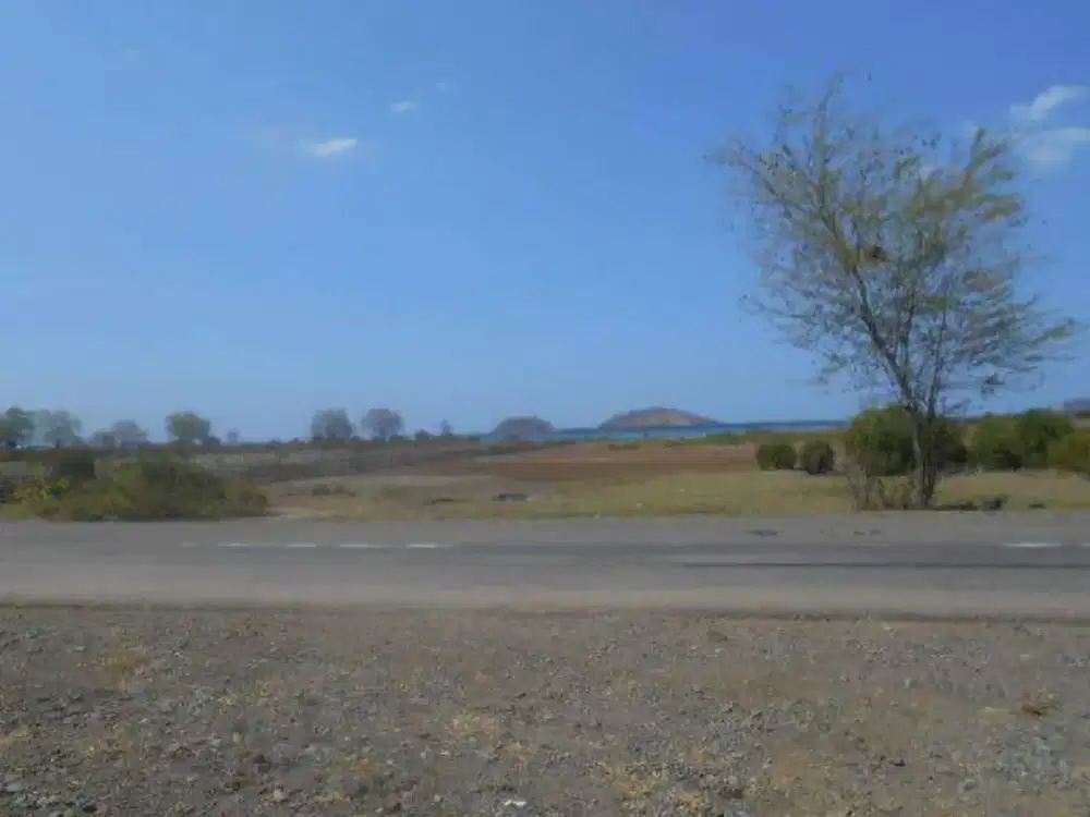 Dijual Tanah Tepi Pantai di Desa Senayan Sumbawa - Nusa Tenggara Barat