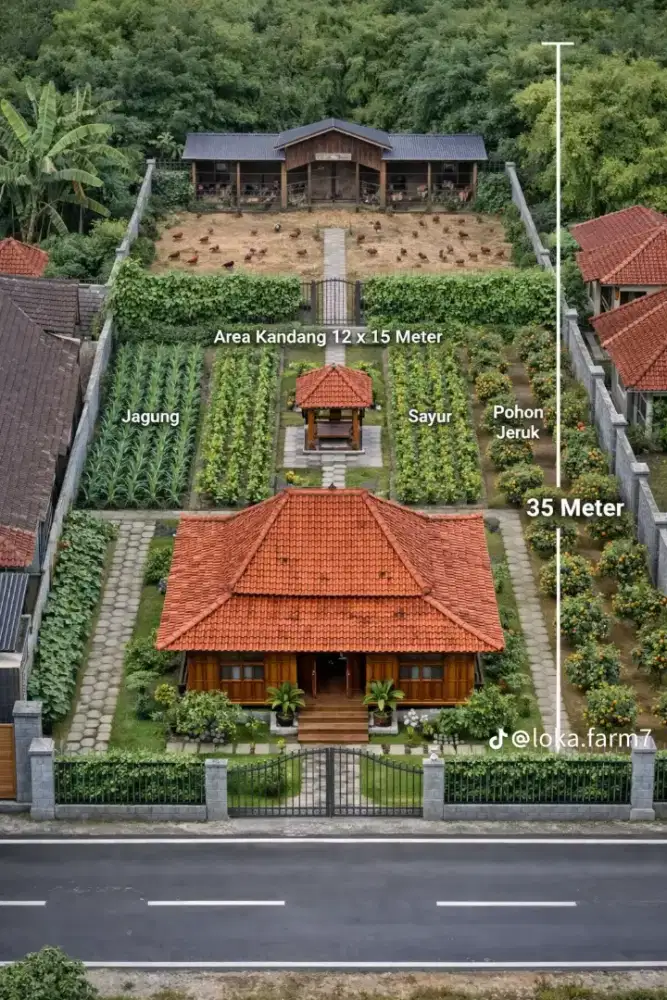 Mencari pekerjaan art pp ,ngurus anjing atau yang lainya serabutan