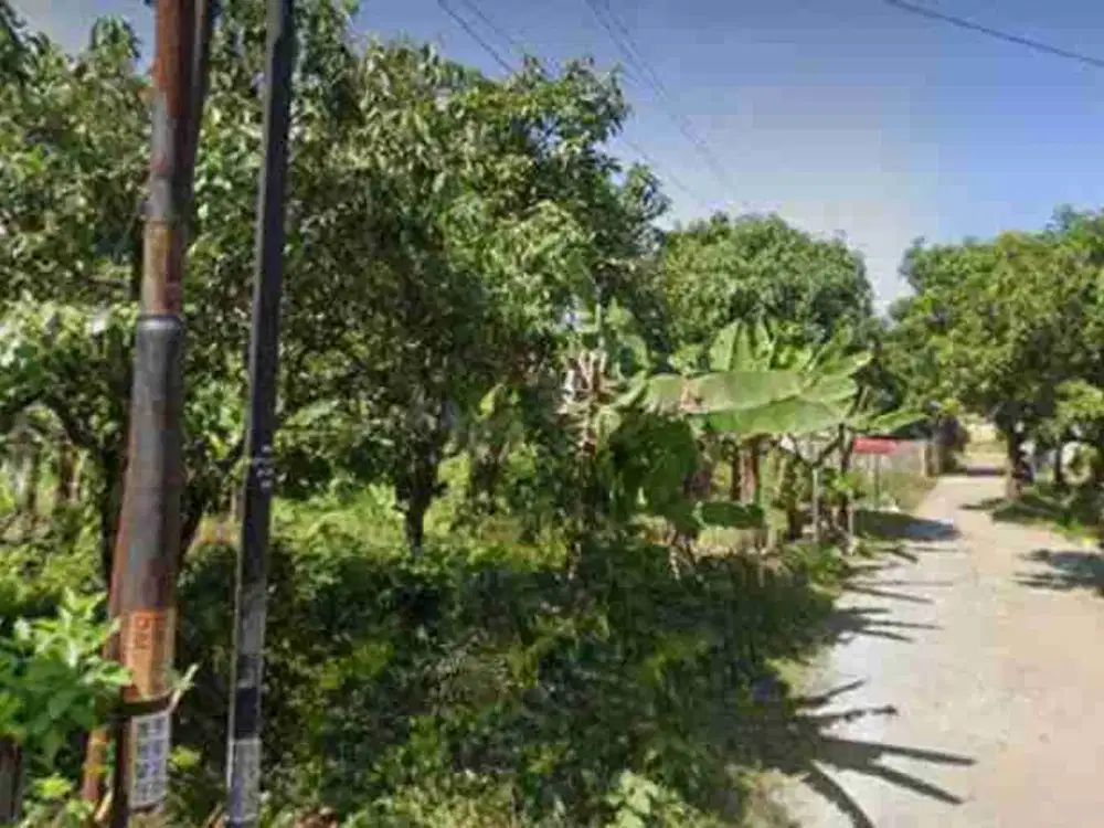 Dijual  Murah tanah Matang Strategis Dekat Kampus 2 UIN  cibiru cocok untuk kosan