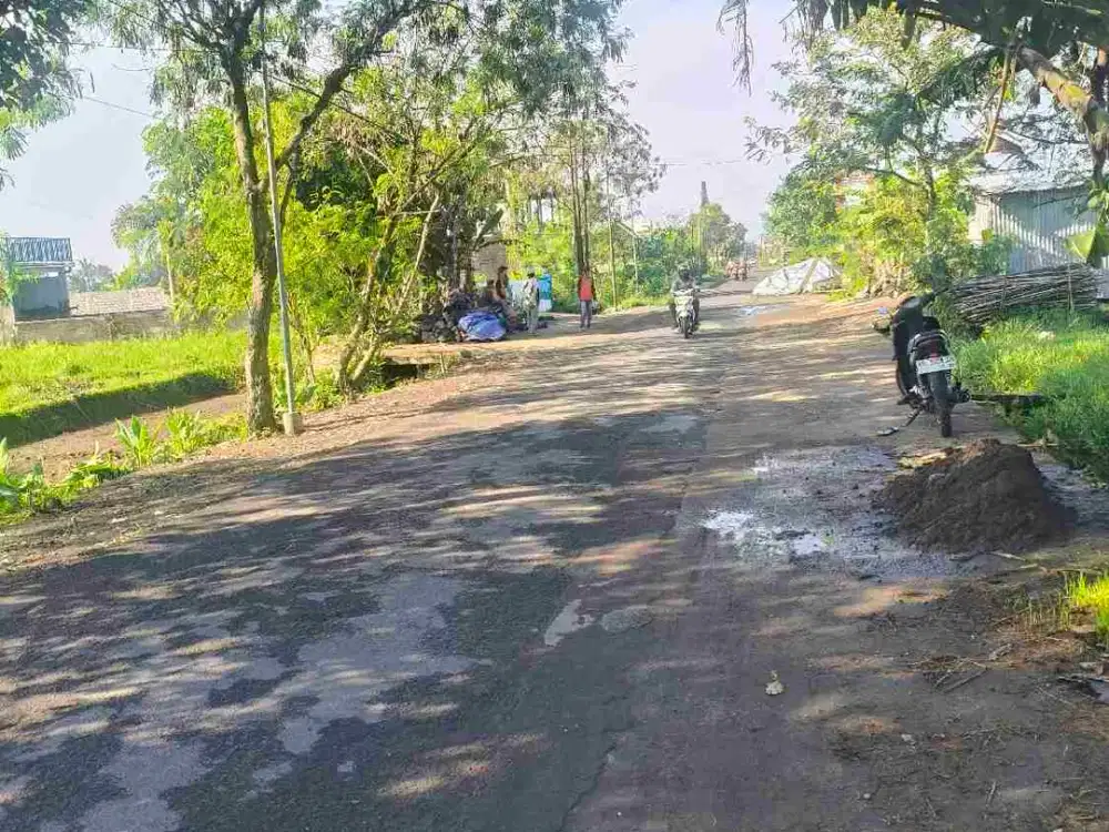 tanah sawah/ pkrngn sidomoyo Godean