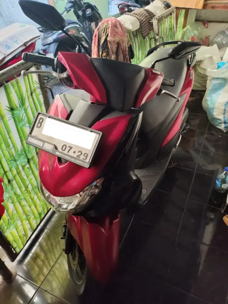 Freego 2019 standard