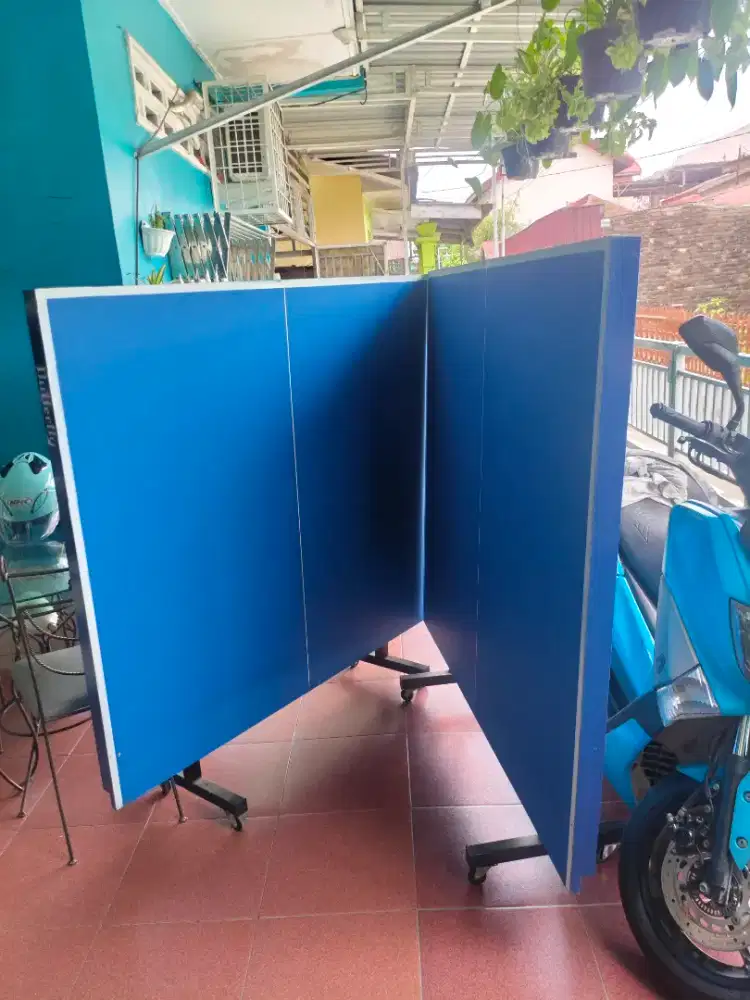 Tennis meja butterfly