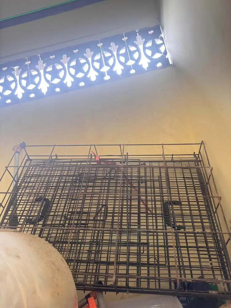 Djual kandang kucing besar