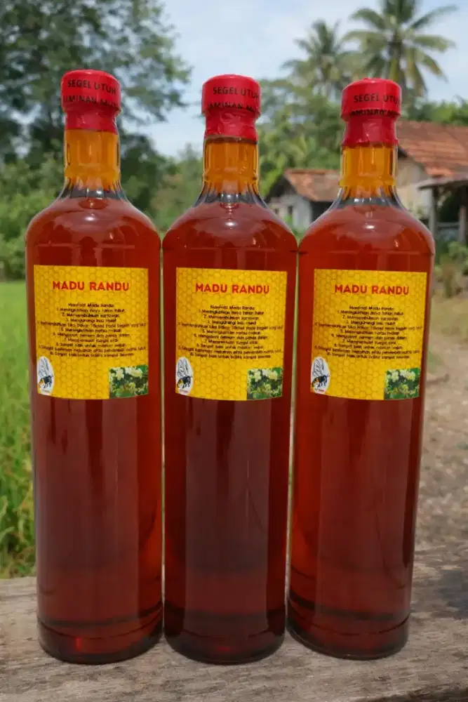Madu Klanceng dan Randu