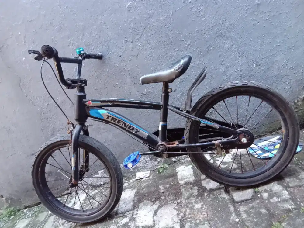 Sepeda anak bmx trendy