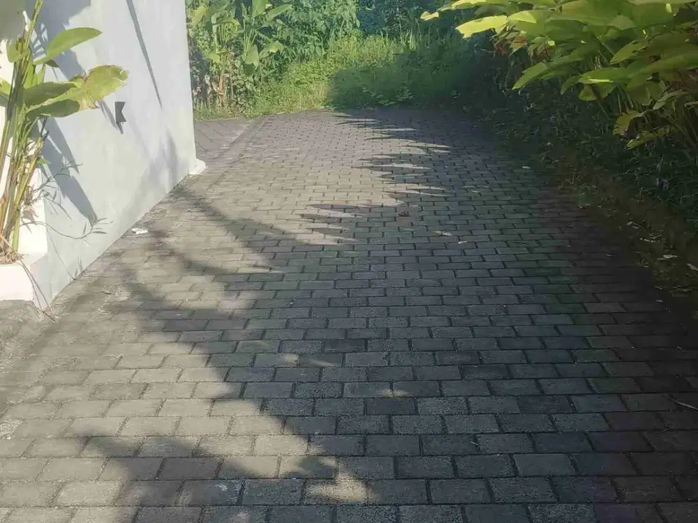 tanah Canggu Kuta utara bali