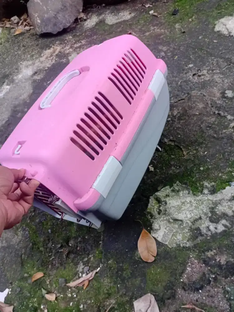 Pet chargo siap pakai