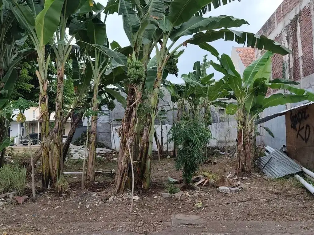 Kavling Puri Widya Kencana Citraland STRATEGIS