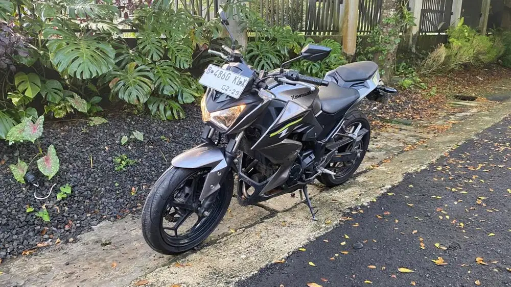 Kawasaki z250 2017 fi KM 9000