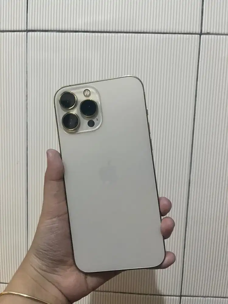 Iphone 13Promax 256 Inter