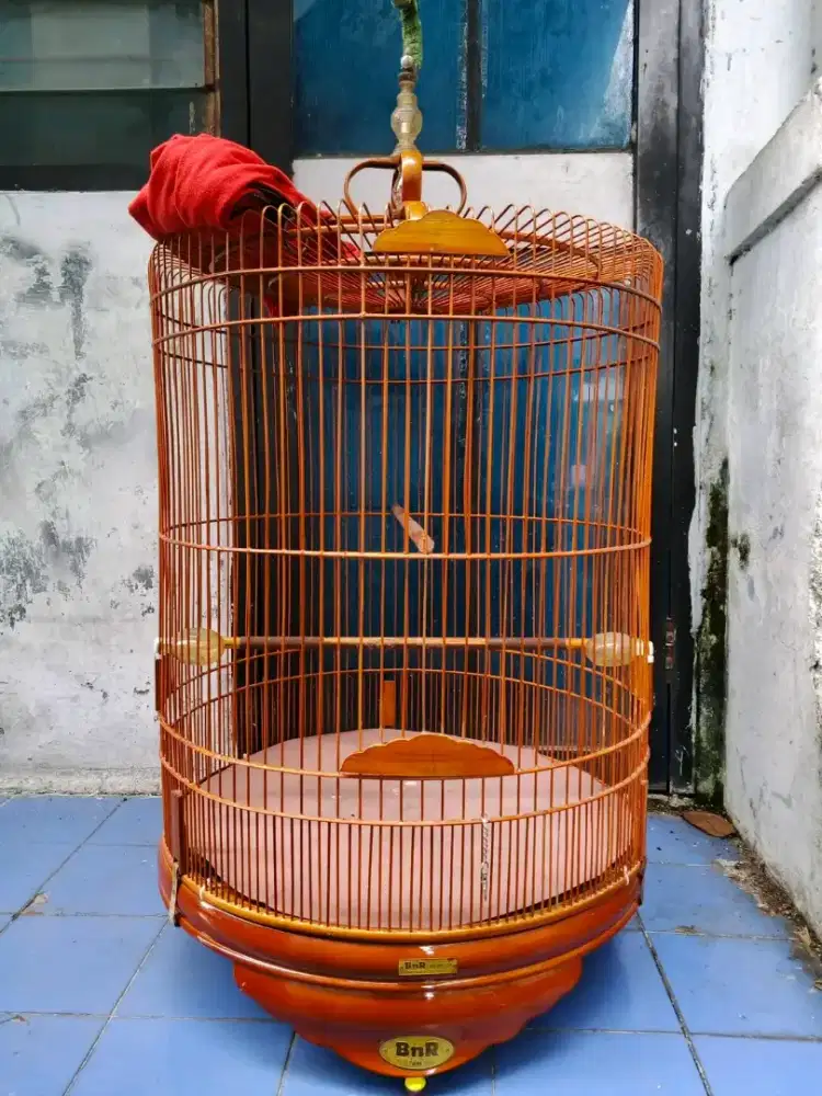 kandang murai  BnR reborn pvc no2