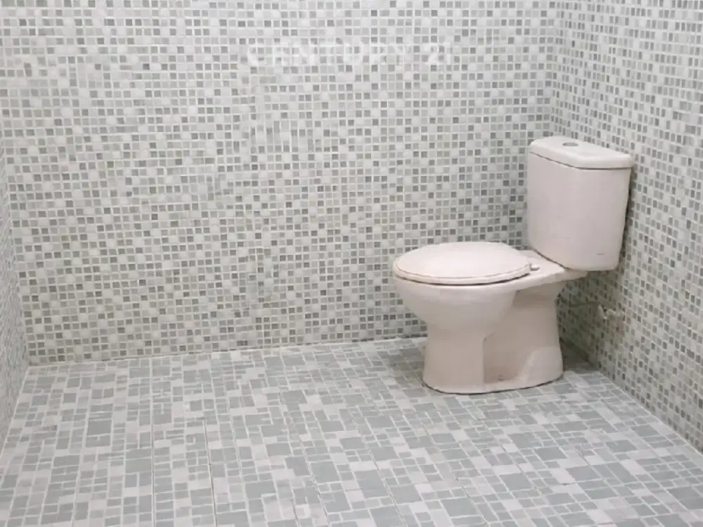 RUMAH DI BENDUNGAN HILIR, TANAH ABANG JAKARTA PUSAT