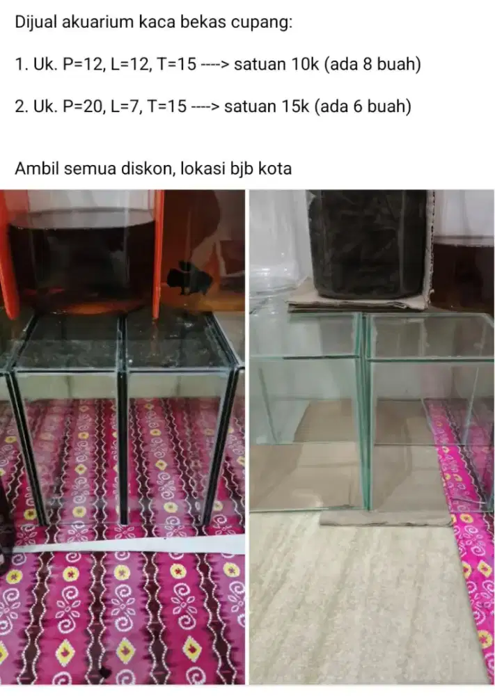 Akuarium bekas cupang