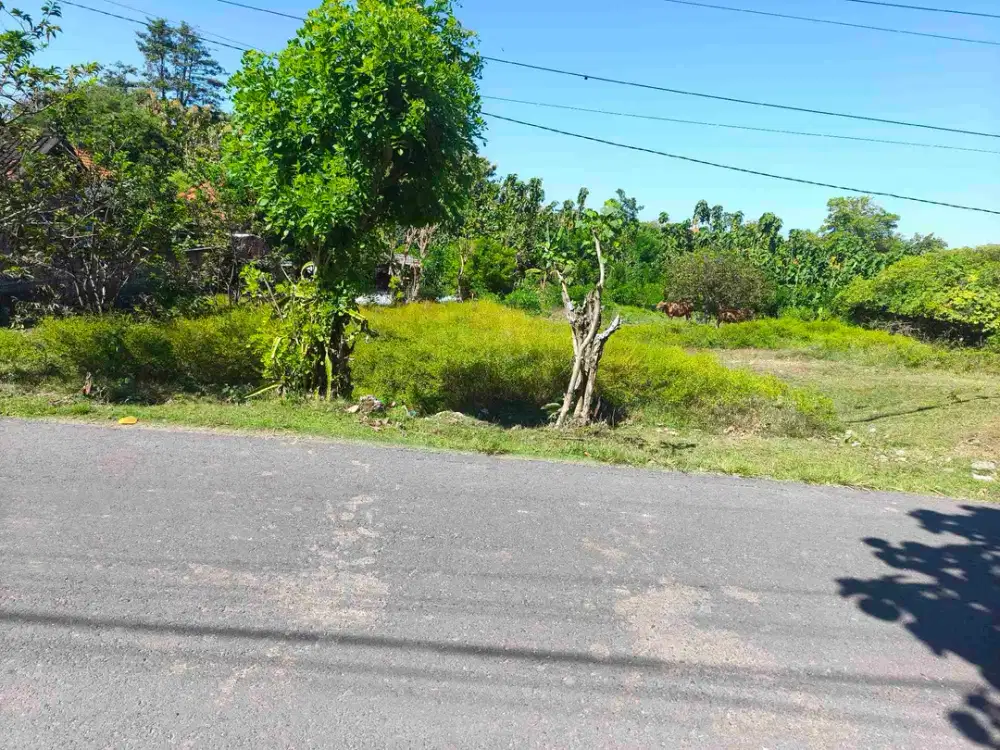 dijual tanah 5,44 are IDR 600 juta per are kawasan pantai gunung payung Pandawa beach Kutuh Badung Bali