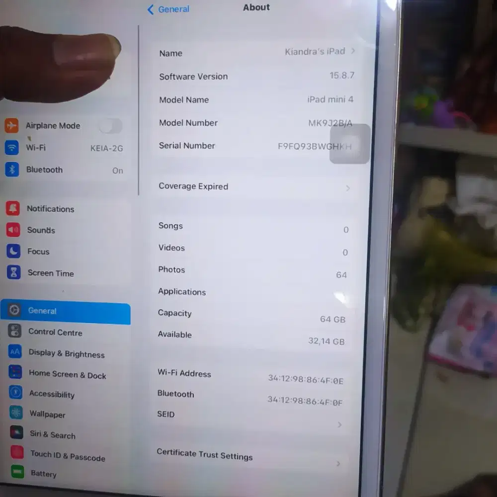 Apple iPad mini 4 wifi only