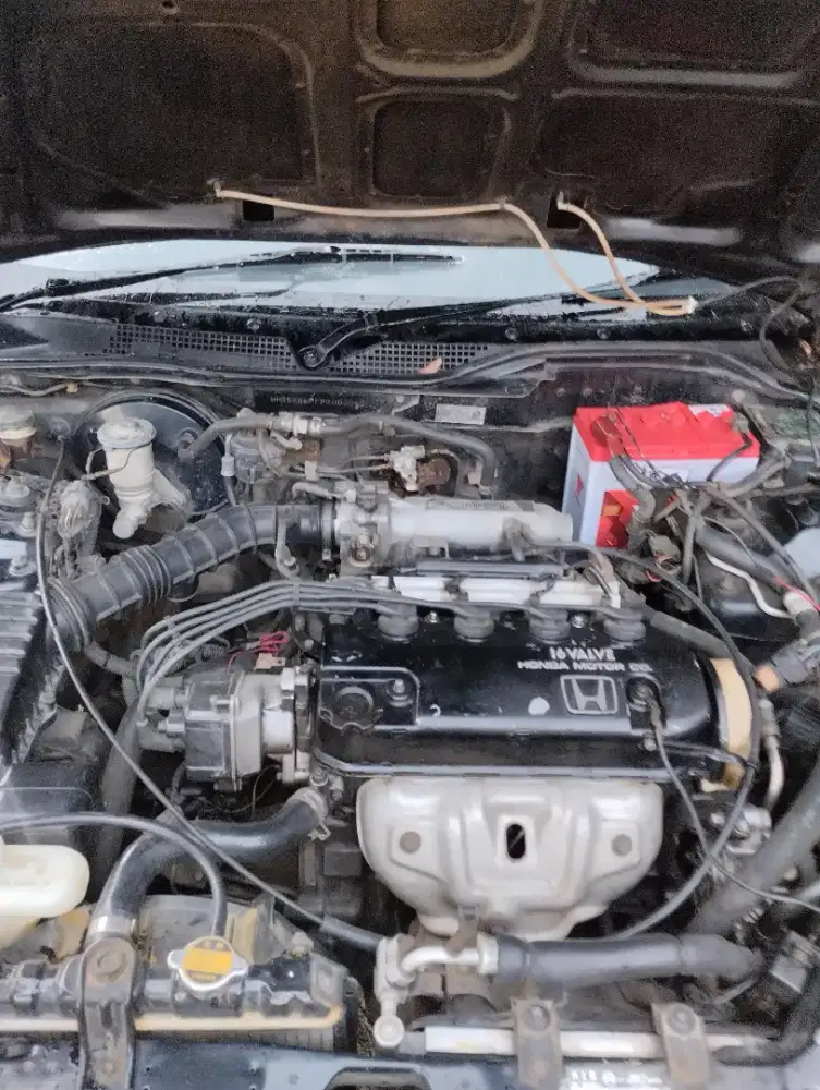 Honda Genio 1993 Bensin