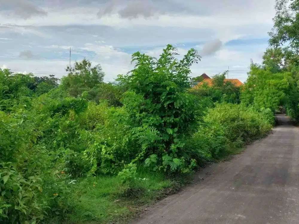 dijual tanah 15 are idr 475 juta per are Kawasan pandawa beach kutuh Badung Bali