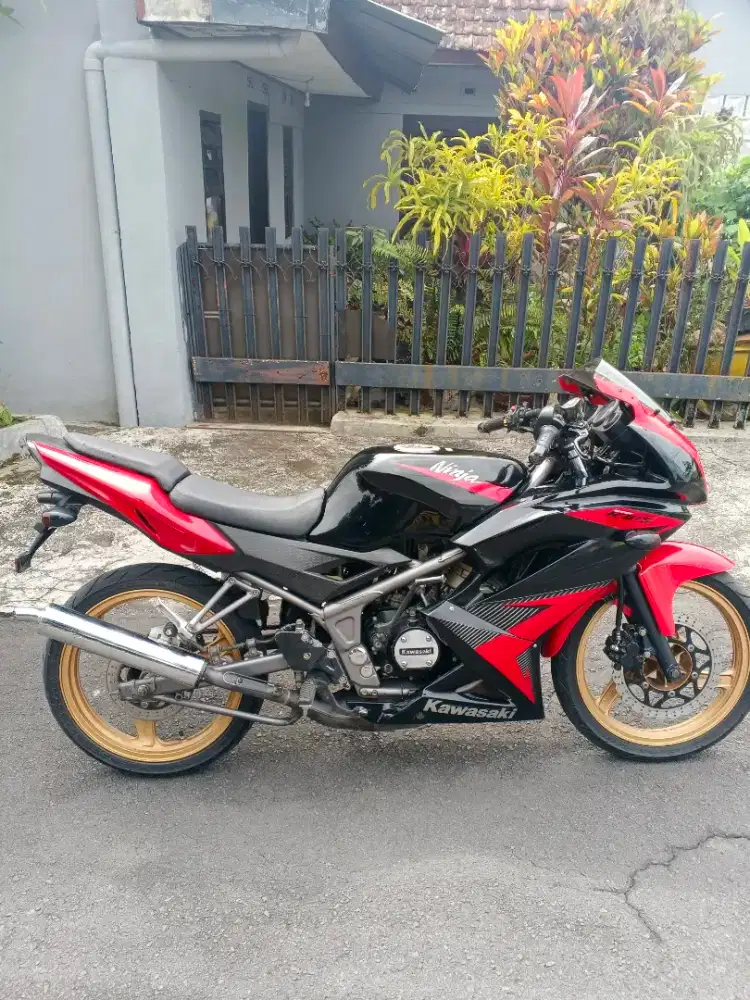 Ninja 150 RR new