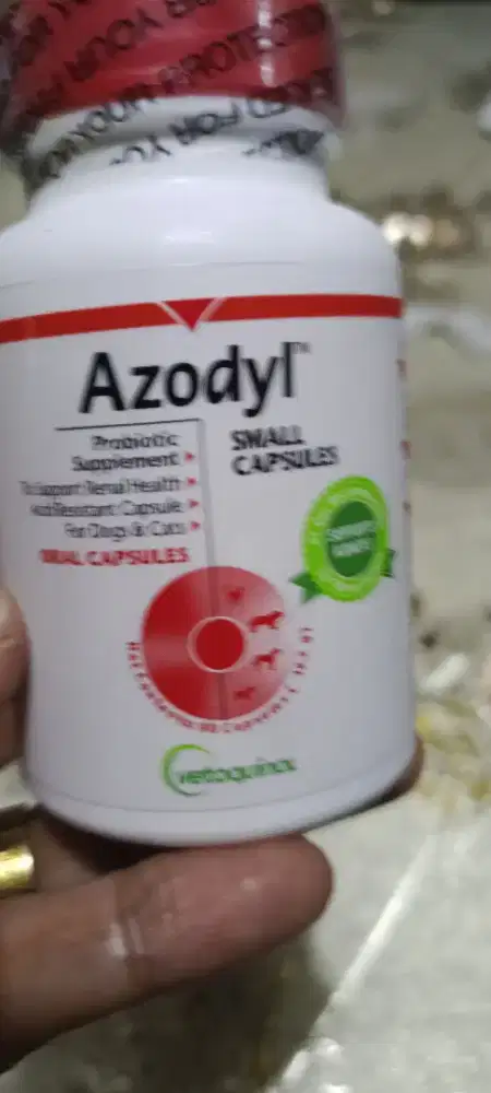 dijual vitamin ginjal untuk kucing AZODYL