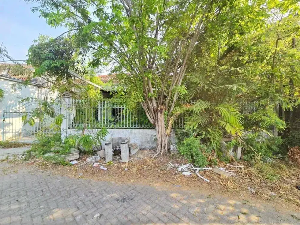 rumah klampis cuma 1.25m