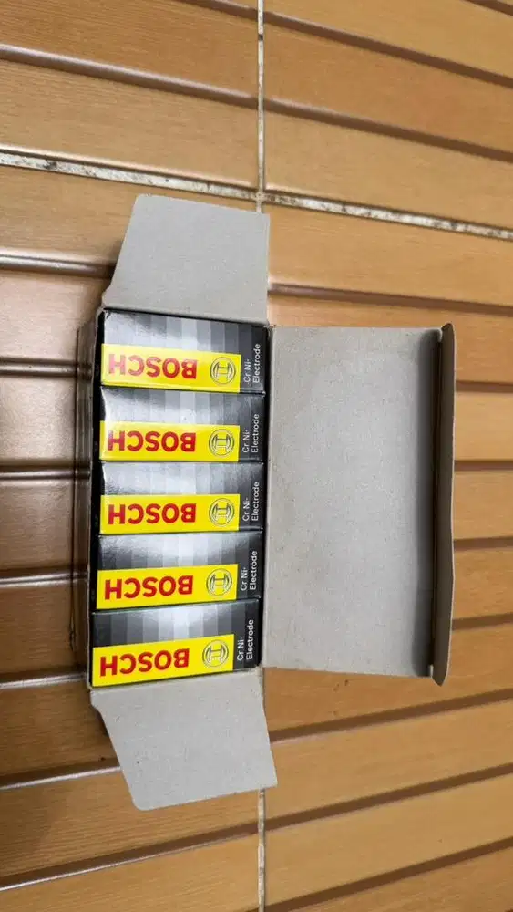 Busi mesin potong rumput bosch