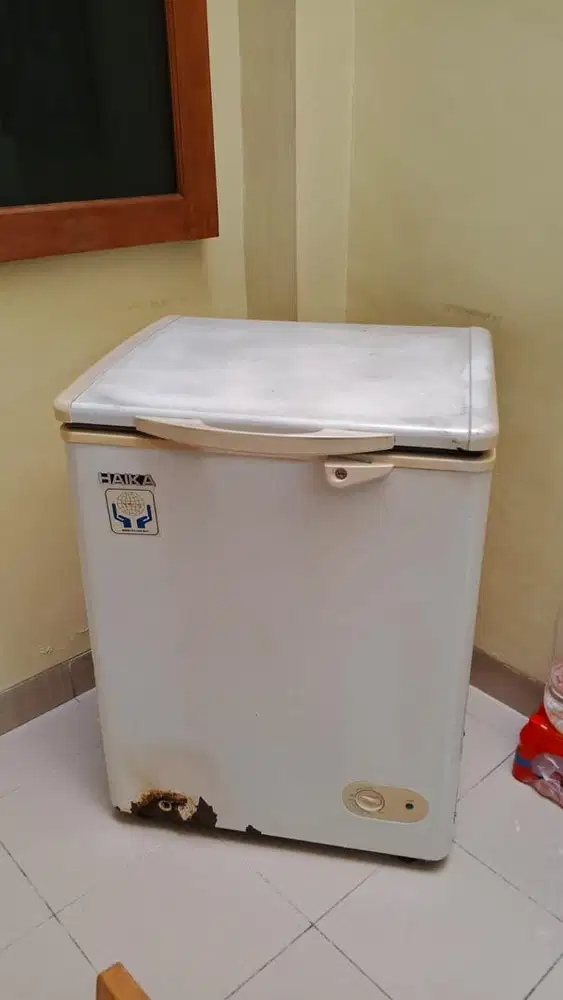 Freezer Haika 100 lt