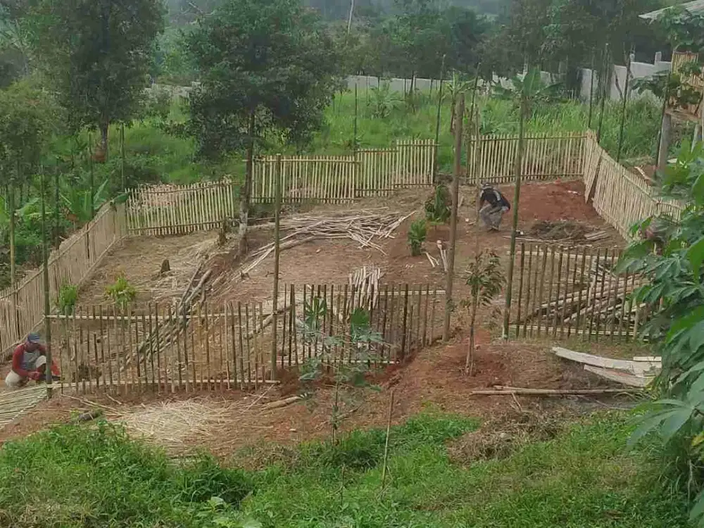 Tanah di Kp. Pasar Angin, Cigudeg, Bogor