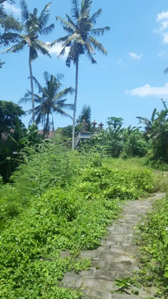Dijual Tanah Riverside View  Sungai Jungle di Jl Pantai Nyanyi Tabanan