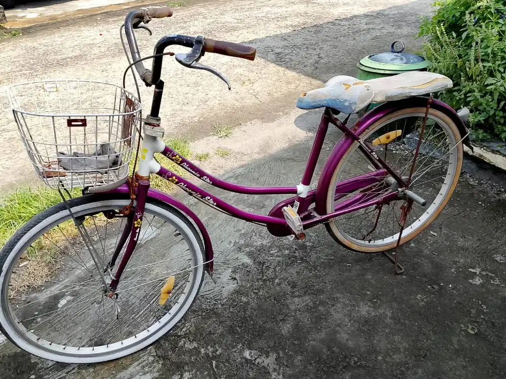 Jual Sepeda Keranjang Phoenix Star