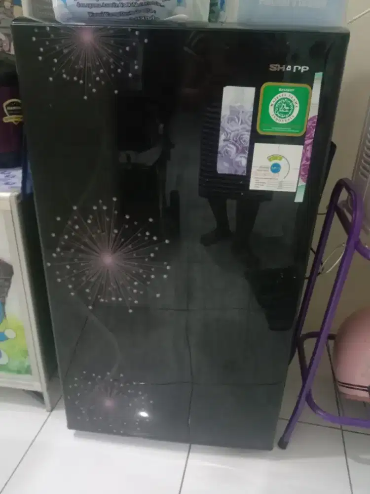 Kulkas sharp 1 pintu