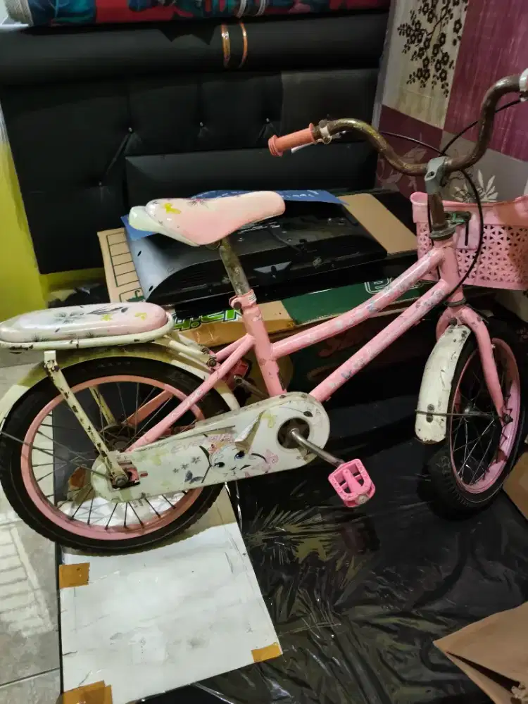 Jual sepeda anak umur 5thunan