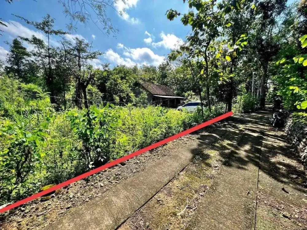 Jual tanah pekarangan murah di Grogol Bejiharjo Gunungkidul strategis