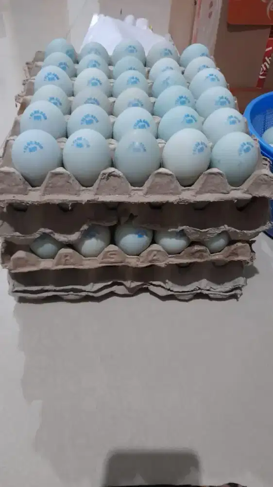 Lowongan kerja usaha telur asin