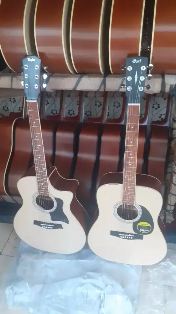 GITAR TAYLOR DAN CORT