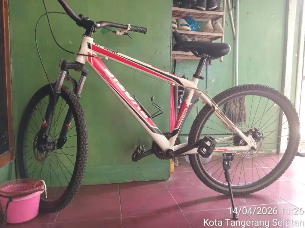 Sepeda dewasa exotic 26 inc