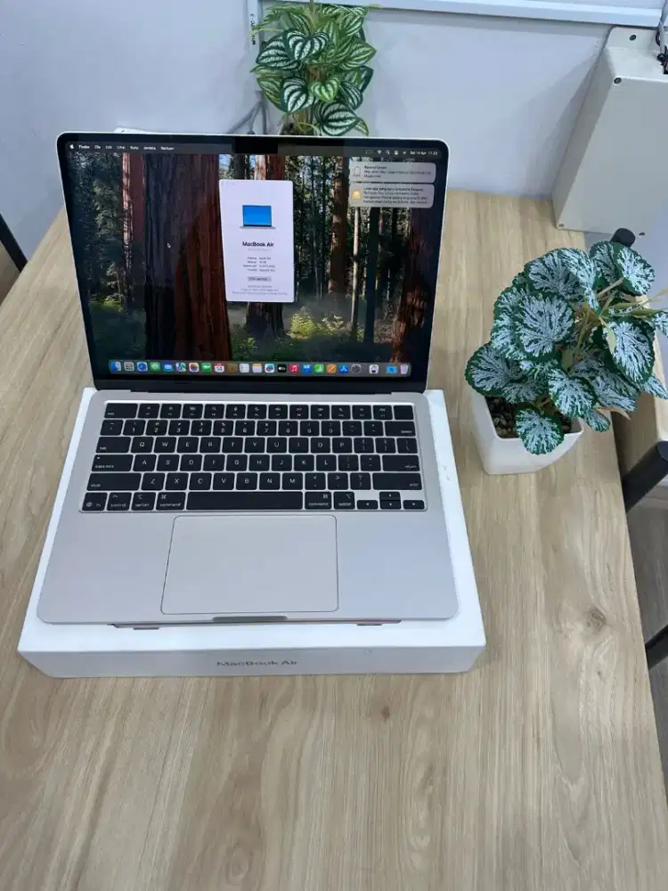 MacBook Air M4 16/256GB Srarlight