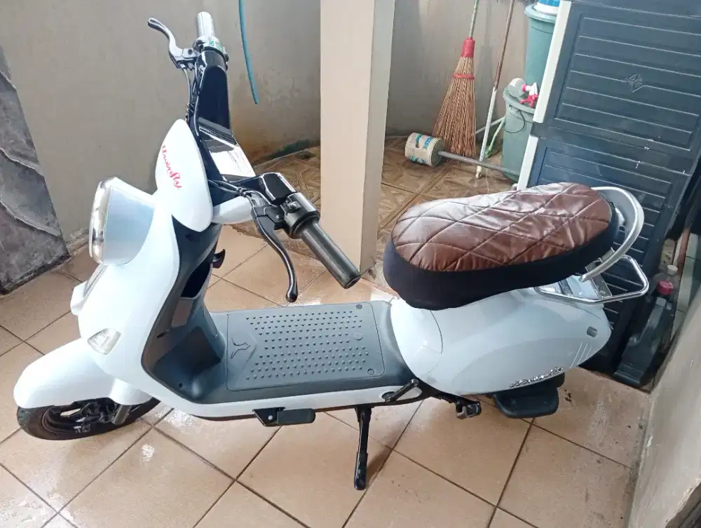 Sepeda Listrik Limited Edition T60