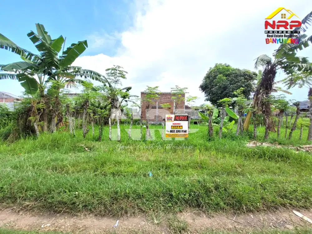 Dijual Tanah Murah 1 Jutaan Per Meter di Singotrunan - Banyuwangi