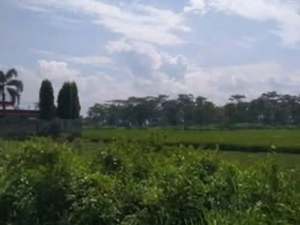 INVESTASI LANGKA! JUAL LAHAN TANAH 9 HEKTAR DI MAIN ROAD RANCAEKEK – MAJALAYA