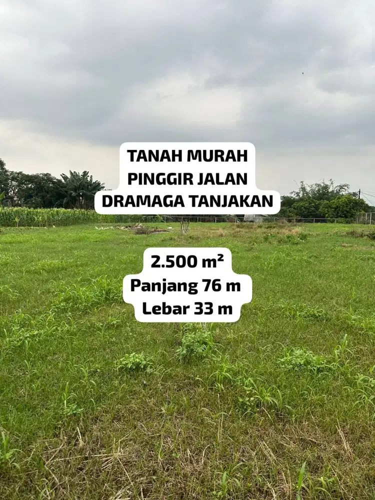 TANAH 1 JUTA/M² PINGGIR JALAN DRAMAGA BOGOR LOKASI STRATEGIS 1 Juta/m²
