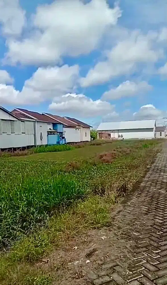 Di jual tanah 2 kavling jual murah ukuran 20 x 30