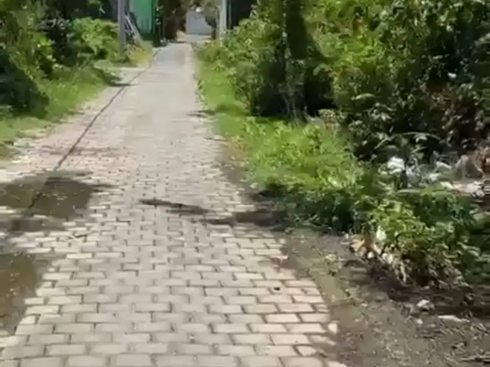 Jual Tanah Di Sesetan Suwung Batan Kendal Denpasar Bali. Dekat Ke By Pas Pesanggaran, Sanur, Tol Bali,