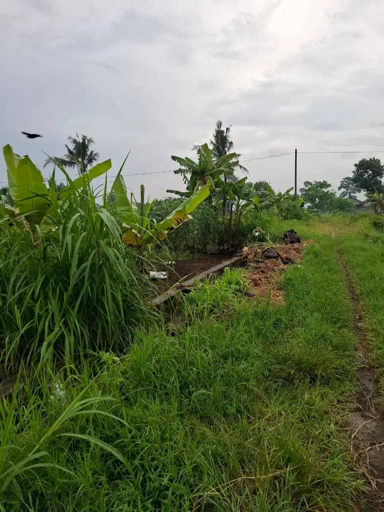 Dijual Tanah Di Timur Pasar Gentan Jogja.