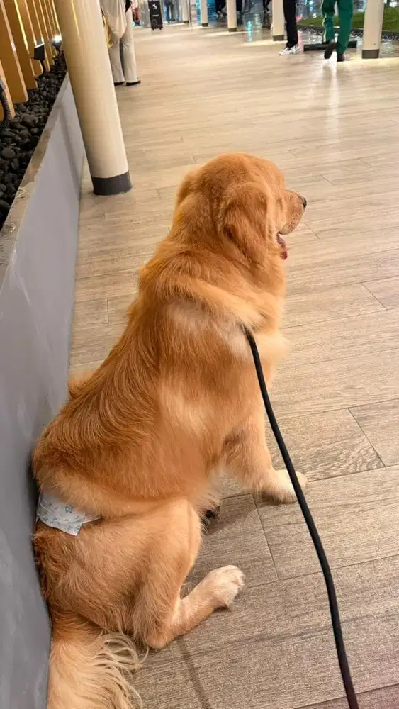 ART perempuan gaji 2jt