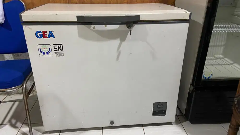 Chest Freezer GEA 220L