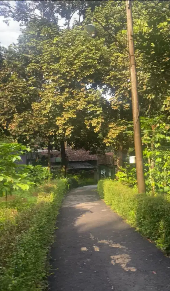 DIJUAL TANAH 3440 m2