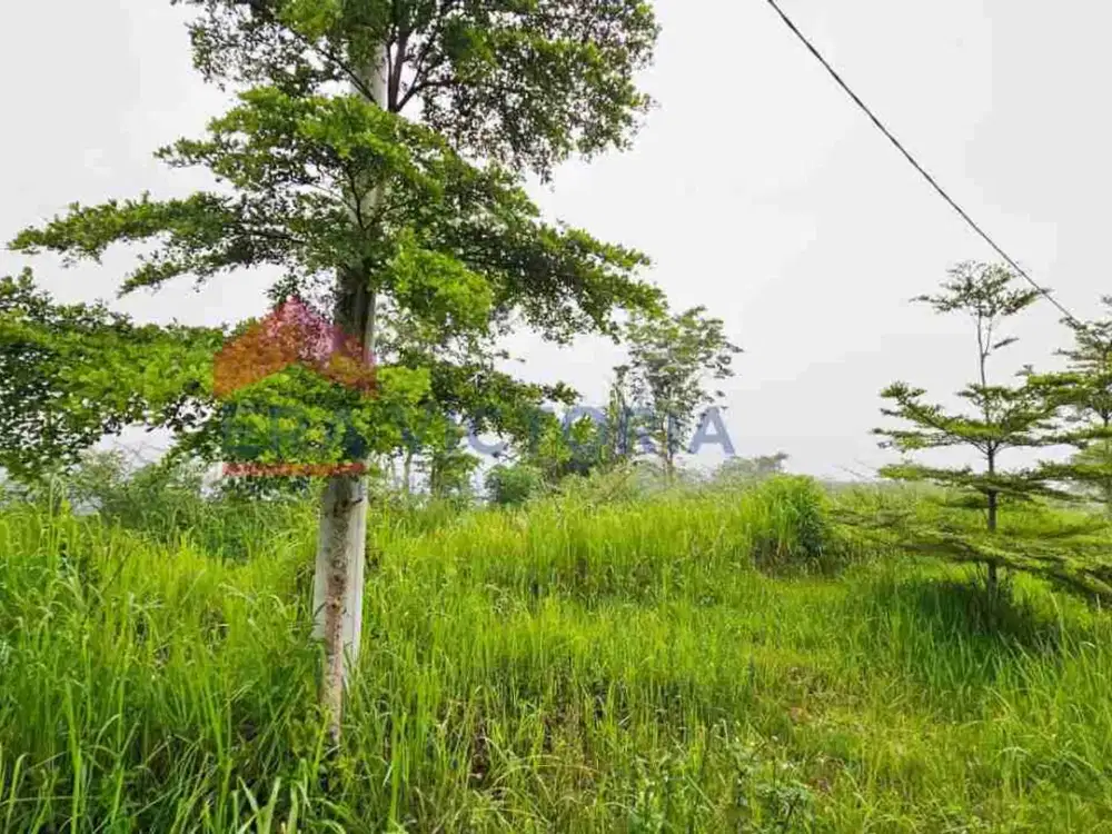 Tanah Kavling dalam Perumahan Dekat Kampus UIN 3 (Fak.Kedokteran), Burbank Coffee Shop, RS Baptis, Wisata Sengkaling Batu