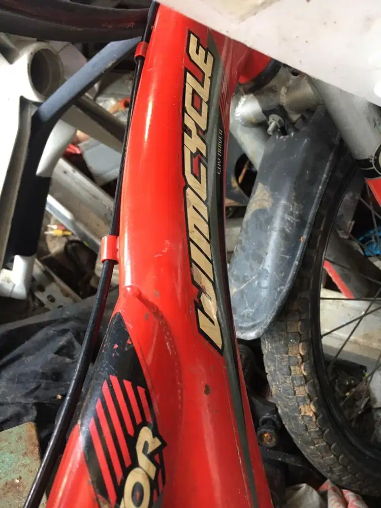 Sepeda Anak Wimcycle